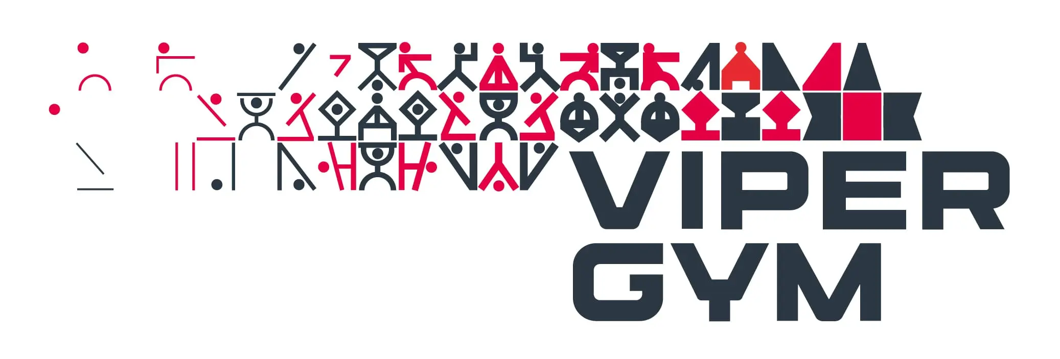 VIPER GYM